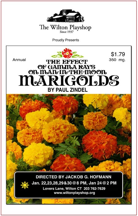 The Effect of Gamma Rays on Man-In-The-Moon Marigolds